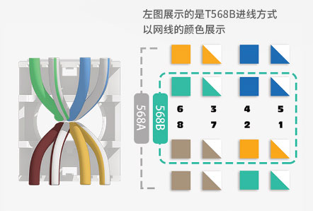 新型5G水晶頭接線順序是什么?英曼新型水晶頭線序如何?